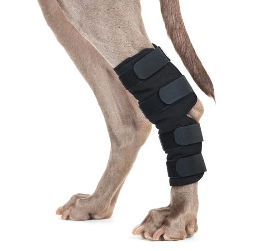 Back on Track Sprunggelenkschoner für Hunde hinten