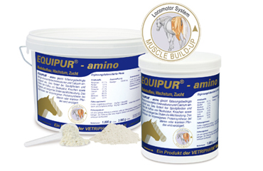 Equipur-amino 1kg 1kg Pulver